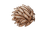 Carousel item 1
