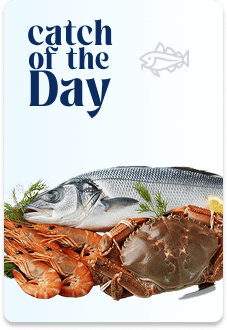 Catch of the Day