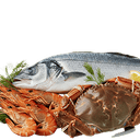 Catch of the Day