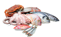 Fish & Seafood